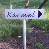 Conferenties in de Karmel